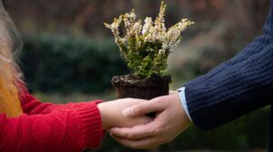 Come rafforzare la fiducia nelle relazioni